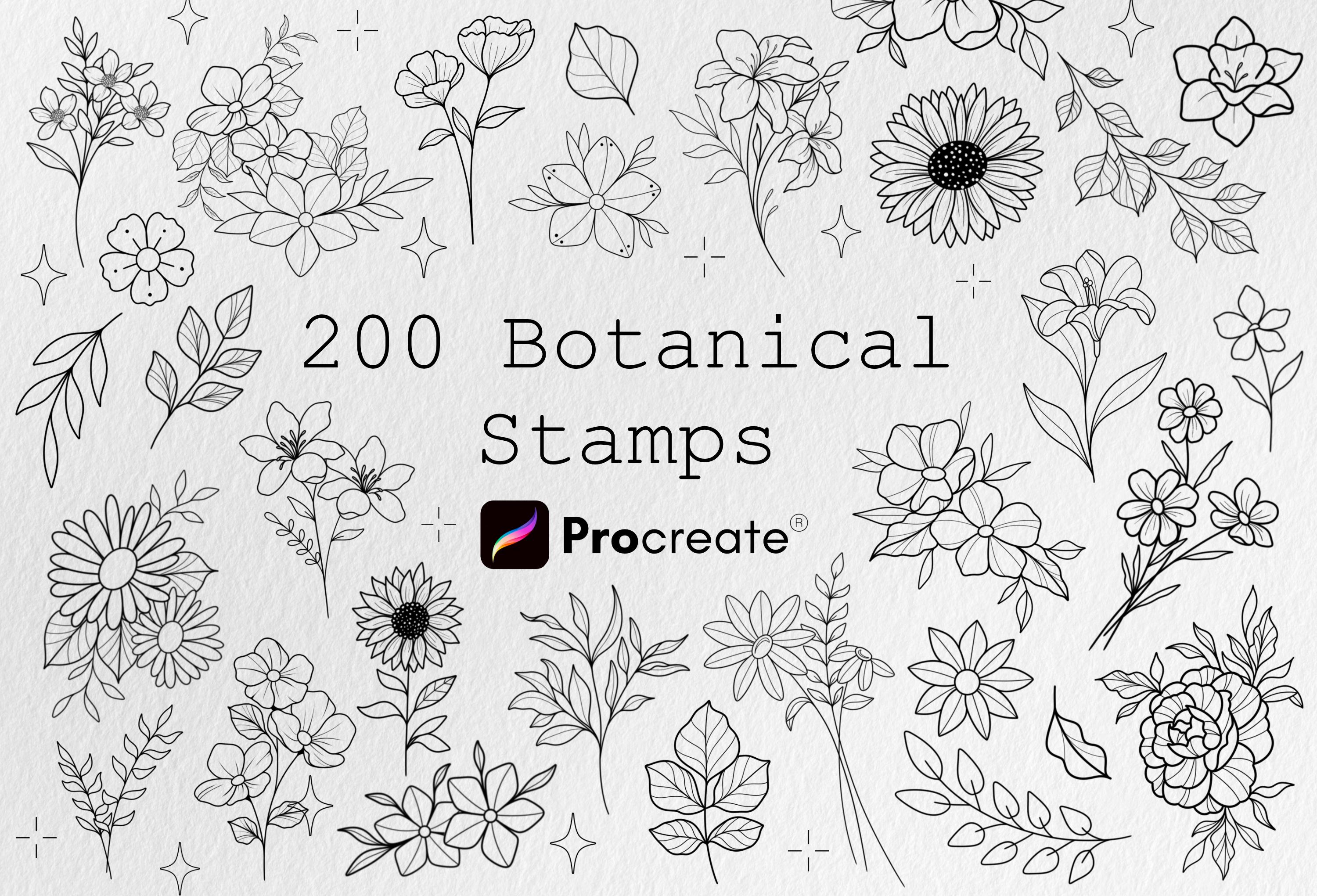 200 Pinceles y Sellos Botánicos para Procreate – Pack de Tatuaje Floral y Contorno de Flores