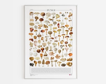Poster Fungi N.2 / Fungi, prent met 100 illustraties van verschillende soorten paddenstoelen