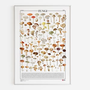 Póster Hongos N.1 / Setas, estampado con 99 ilustraciones de diferentes tipos de setas