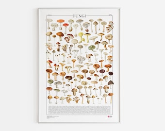 Poster Fungi N.1 / Fungi, prent met 99 afbeeldingen van verschillende soorten paddenstoelen