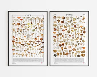 Set van 2 posters met paddenstoelen/schimmels, 2 prints met 199 illustraties van verschillende soorten paddenstoelen