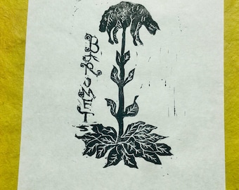 Barometz or the Vegetable Lamb of Tartary relief print