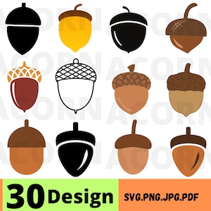 30 Acorn SVG Bundle,Acorn Clipart,Acorn SVG,Acorn Vector,Acorn png,Oak svg,Acorn cut files,Acorn designs,Acorn printable, Digital resources