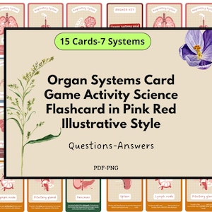 Organsysteme Kartenspiel Aktivität Wissenschaftliche Illustration Illustration, Karteikarten Vorlage, Karteikarten für Kinder, digitale Dammladekarte