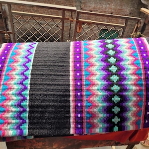 horse show pad with rope halter