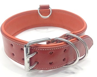 Genuine Leather Dog Collar, Studded, Adjustable (19-23 Inches)