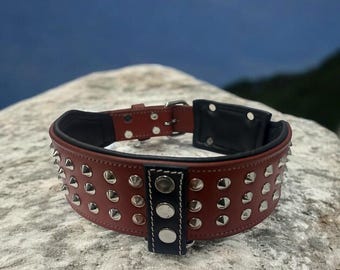 Studded Leather Dog Collar, Chocolate Black, Medium to Large Dogs