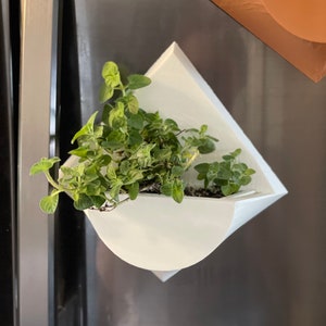 fridge planter with magnets. White. herb garden. succulent planter. drainage pot included