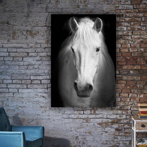 White horse portrait painting, horse wall art, horse wall art, horse poster, white horse head, living room animal decor, horse wall art