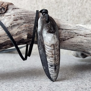 Orthoceras-fossiele hanger aan leren koord - ammoniet-edelsteenketting - unieke sieraden voor natuurliefhebbers
