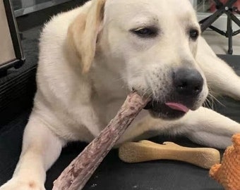 XL Turkey Neck Chew| Meat Based |Chomper | 1ct