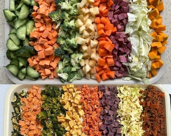 10 Piece Set | Hermit Crab Food