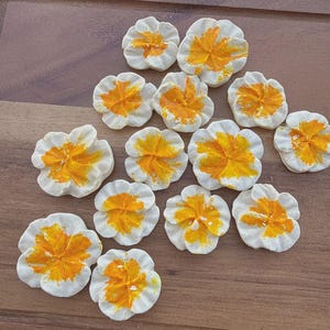 May include: A collection of thirteen small, flower-shaped meringue cookies. Each cookie features a white, ruffled outer edge and a vibrant, bright yellow center, creating a distinct contrast. The cookies are arranged in a loose cluster.
