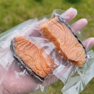 Norwegian Salmon Fillet (Skin-On): Omega-3 Pet Treat