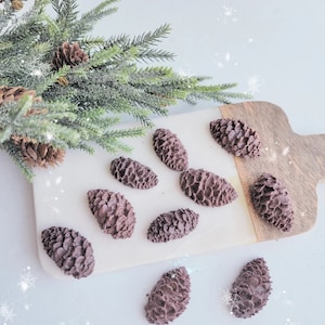 May include: A collection of dark brown pine cones arranged on a white and wood-grain cutting board. A sprig of green and brown faux evergreen branches is in the background. The pine cones are a natural, rustic decoration.