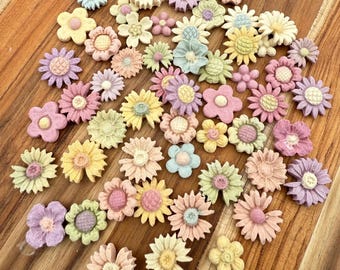 Mini Garden Set Pet Treats | Meat Based | Softie | ~50ct| Handcrafted Assorted Designs