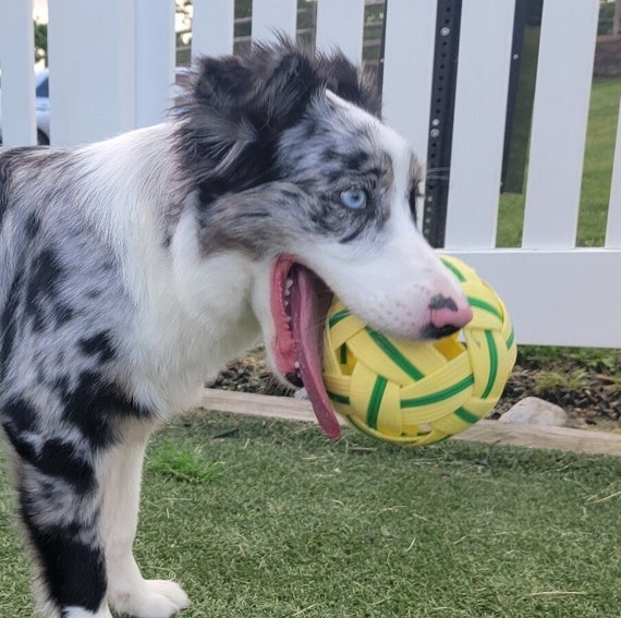 Long Lasting Durable Dog Ball | Play & Energy Drainer | 1ct
