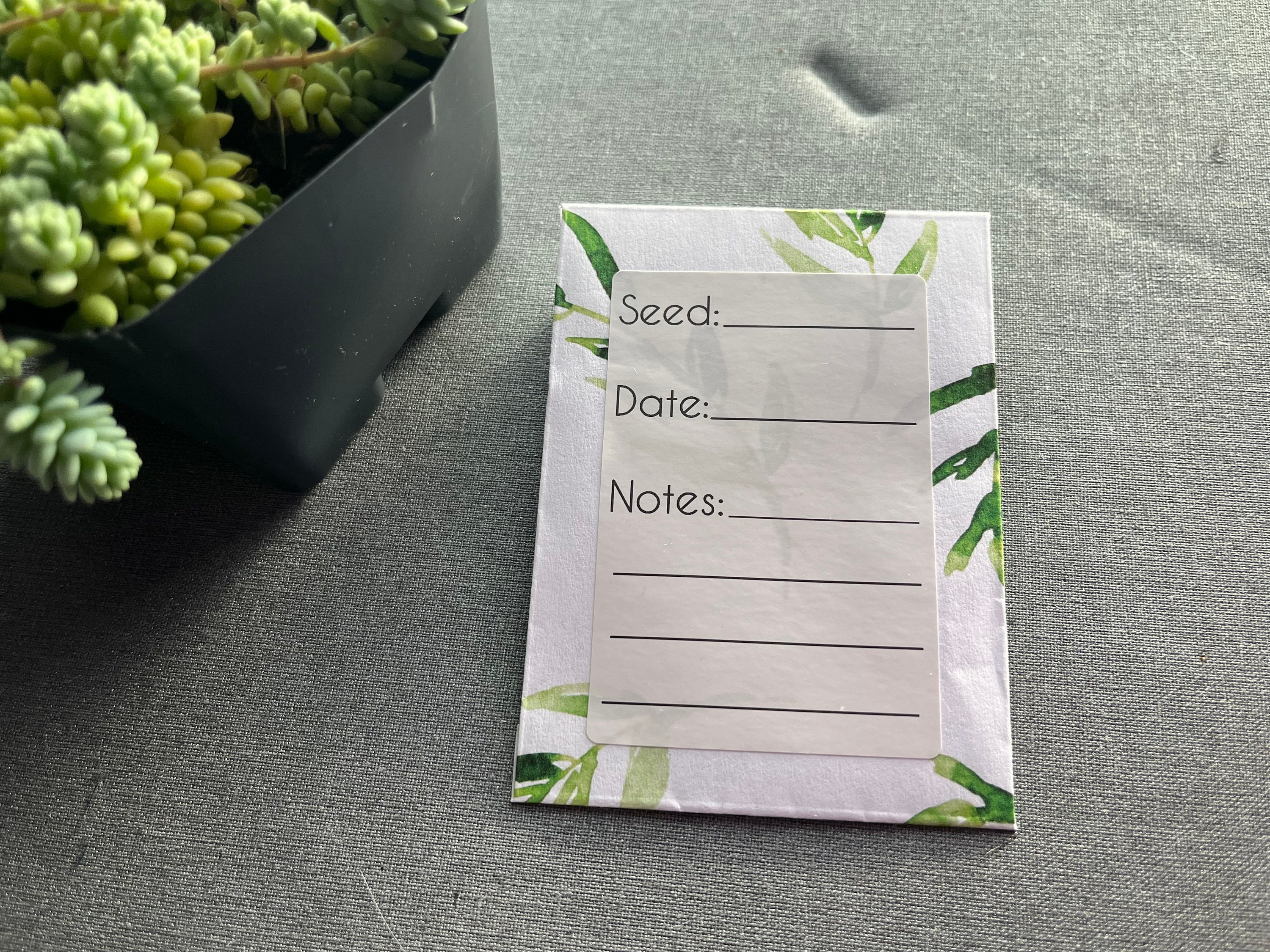 Seed Envelope Labels | Seed Labels | 2 X 3 Label | Set of 5 Labels - Etsy