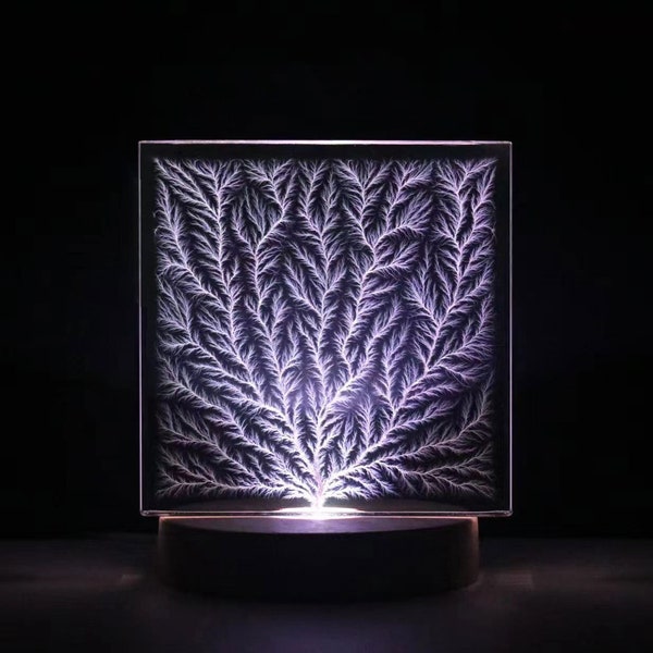 Capturing the Power of Nature, Frozen Lightning/Unique Lichtenberg Figure Art