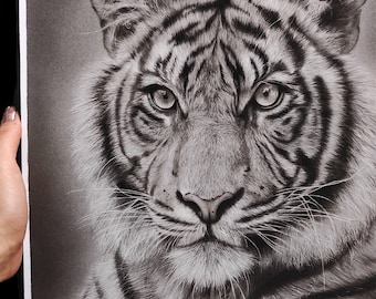 original hyperrealism charcoal drawing of a tiger