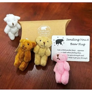 May include: Four small plush teddy bears in a brown paper bag. The bears are white, brown, beige, and pink. A card with the text "Sending You A Bear Hug" is in the bag. The card says "I am a little pocket bear, squeeze me tight when feeling blue. Give you strength and help to get you through."