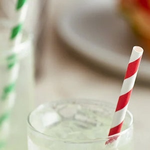 Red striped Colorful paper straws, eco-friendly, and great for Spring, Summer, Fall Pool Parties, BBQ&#39;s, and turtle safe on the beach!