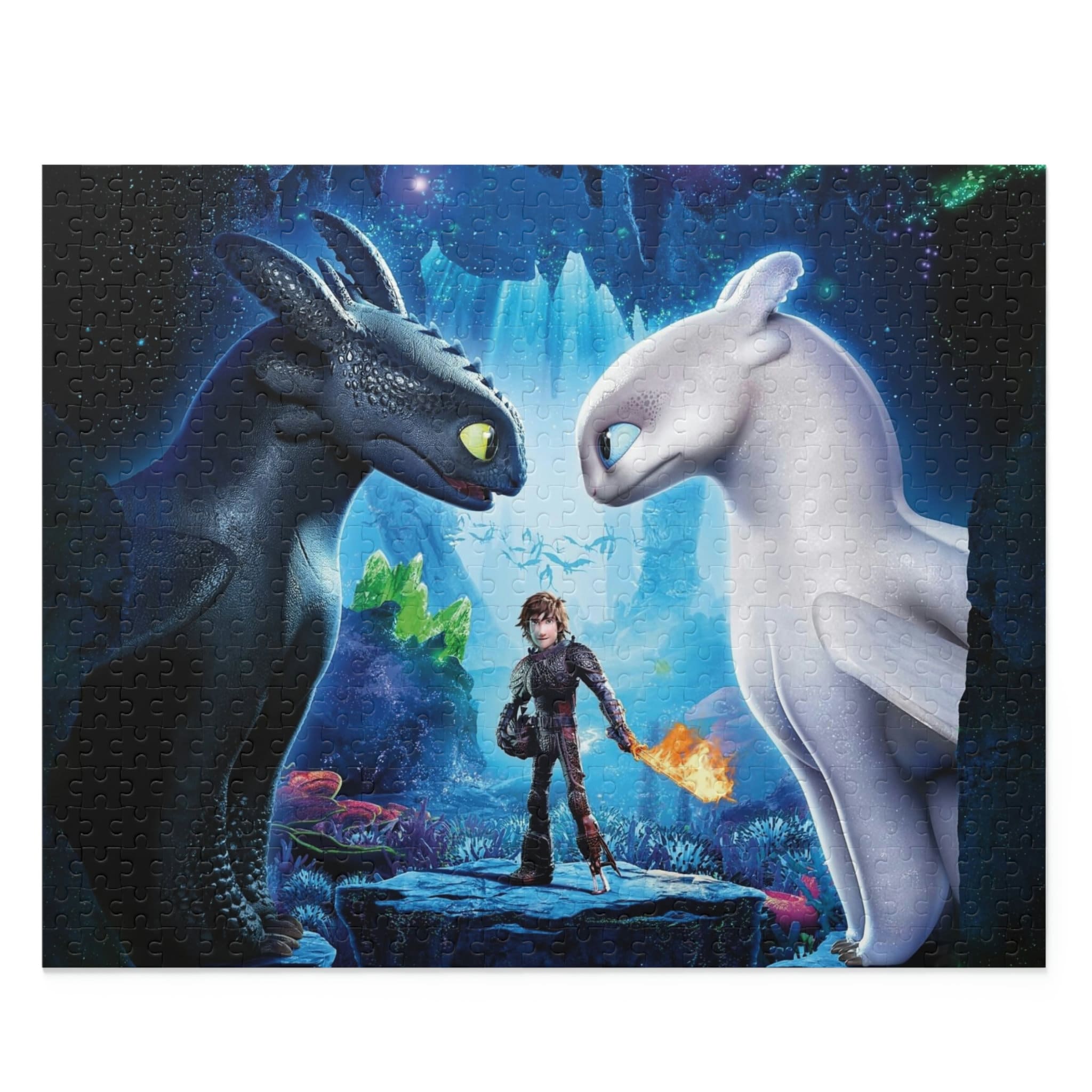 Discover How to Train Your Dragon Jigsaw Puzzle