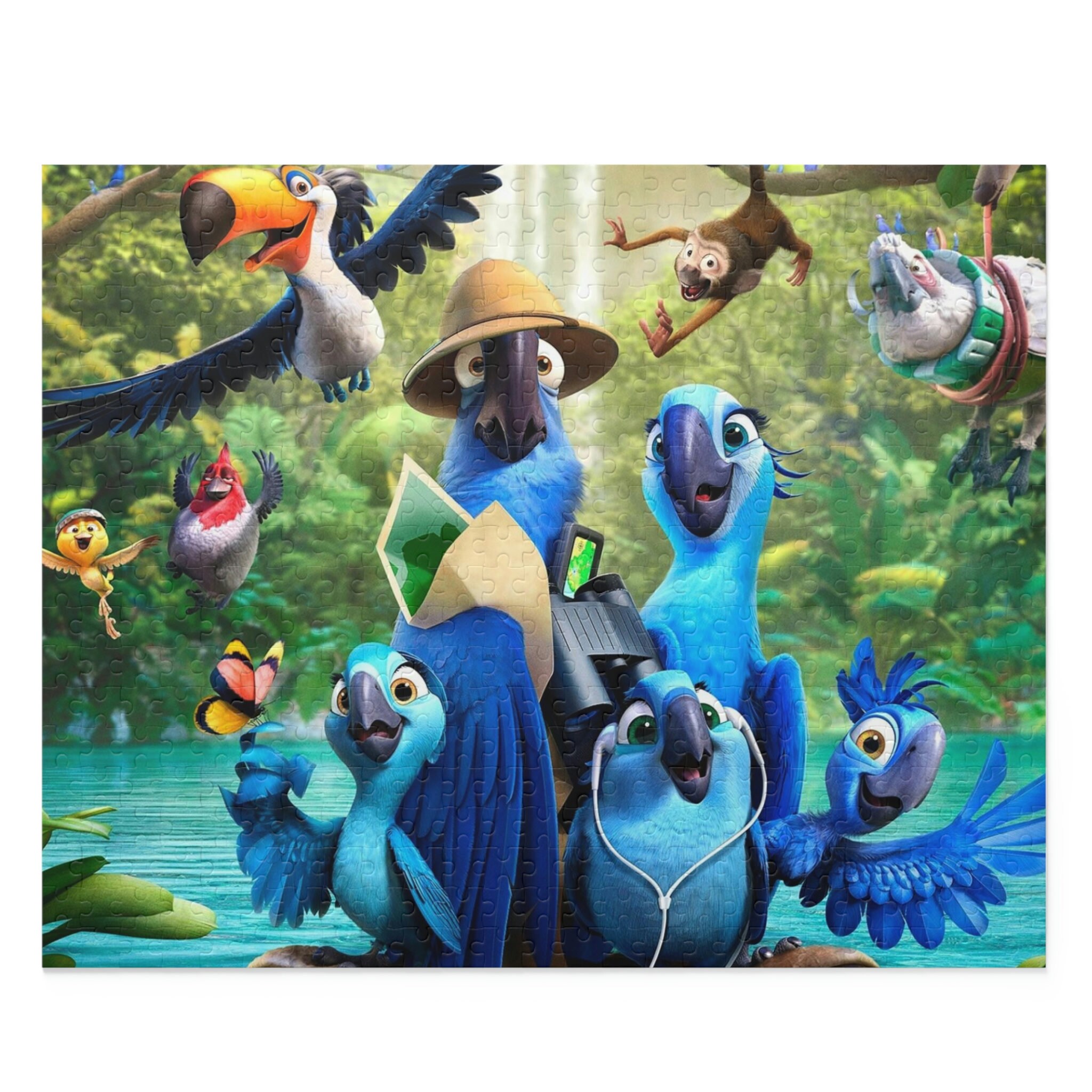 Discover Rio 2 Jigsaw Puzzle