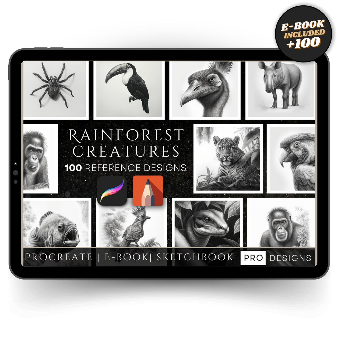 Rainforest Creatures: Discover the Wonders of the Jungle With Our ...