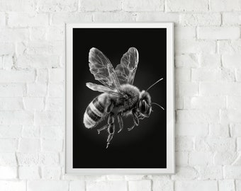 Honey Bee PRINTABLE Art, Wall Art, Bee, Bee Decor, Art, Black & White, Poster, Nature Poster, Animal Wall Art, Home Decor, INSTANT DOWNLOAD