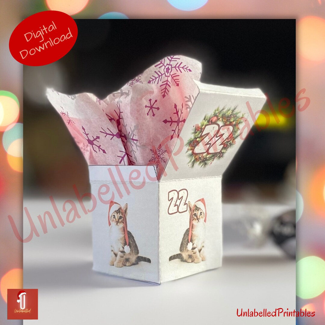 Printable DIY Advent Box Set Set of 24 Printable - Etsy