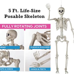 May include: A 5-foot life-size posable skeleton with fully rotating joints. The skeleton is made of a light-colored plastic and is designed to be hung. The image also shows close-ups of the head, elbows & shoulders, hips & knees, and hands & feet.