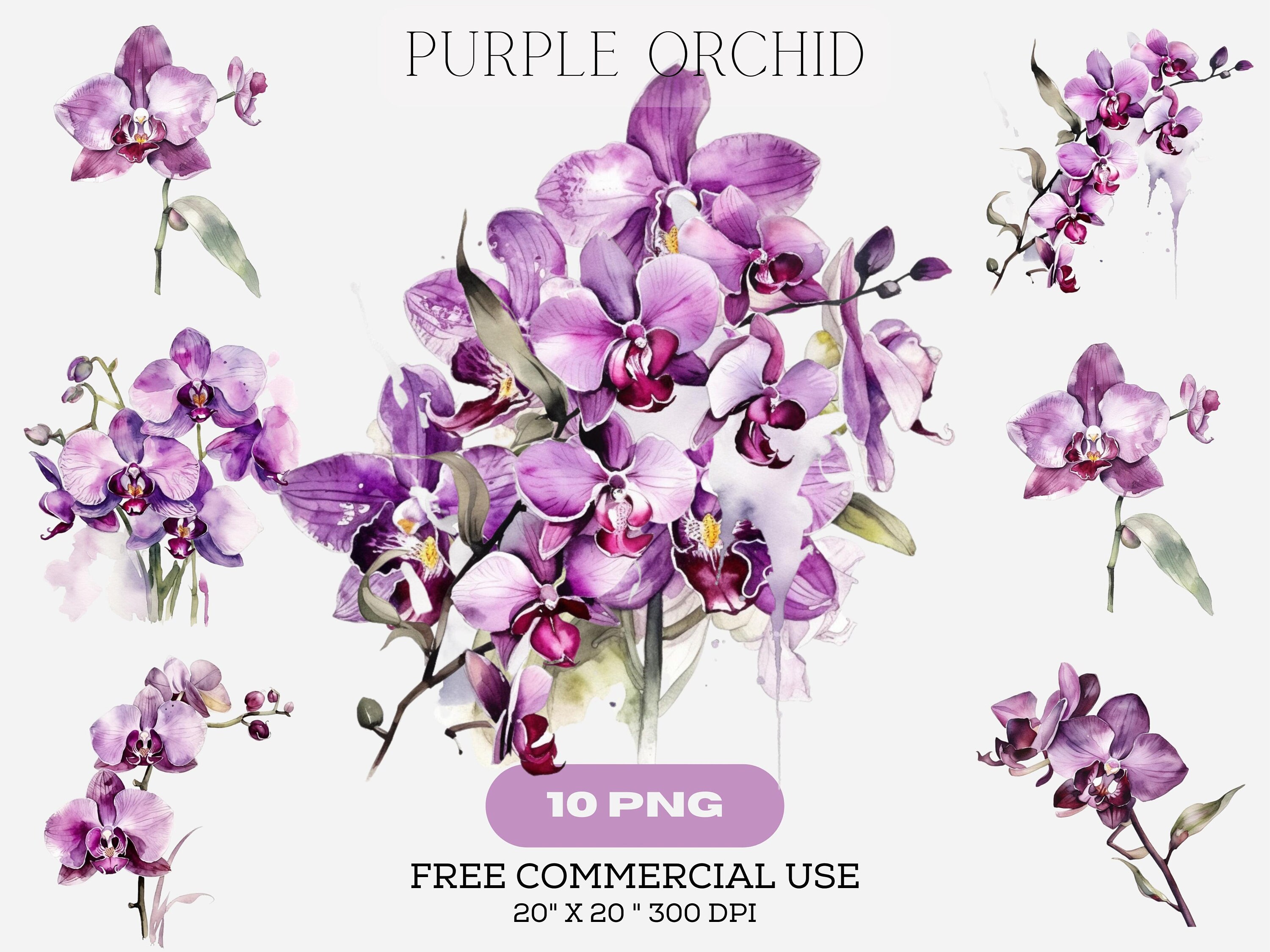 Purple Orchid Png
