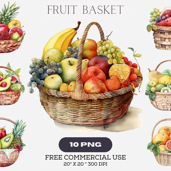 Wall Fruit Basket Etsy