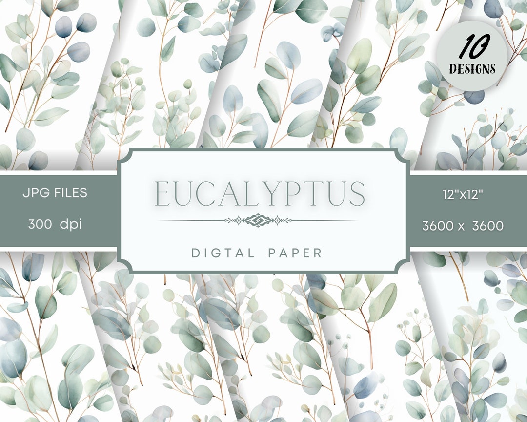 Eucalyptus Digital Paper Eucalyptus Leaves Seamless Pattern Etsy