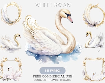 Watercolor White Swan Clipart Set, Swan Illustrations, Instant Download PNG, Commercial Use