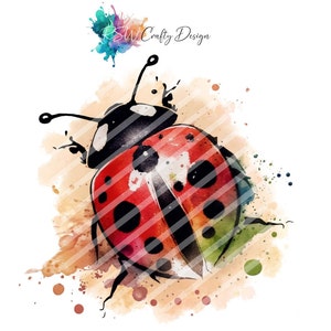 Biedronka_01, w stylu koloru wody, plik cyfrowy, PNG, PDF, SVG