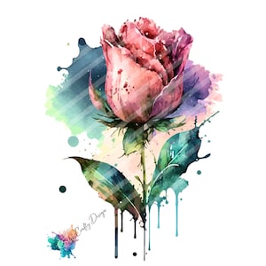 Rose_01, w stylu akwareli, plik cyfrowy, PNG, PDF, SVG