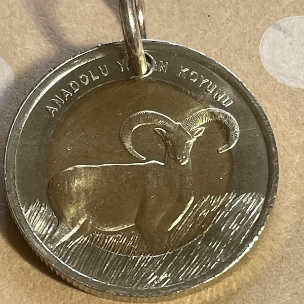 2015 Turkey 1 Lira Coin Necklace, coin with Ram