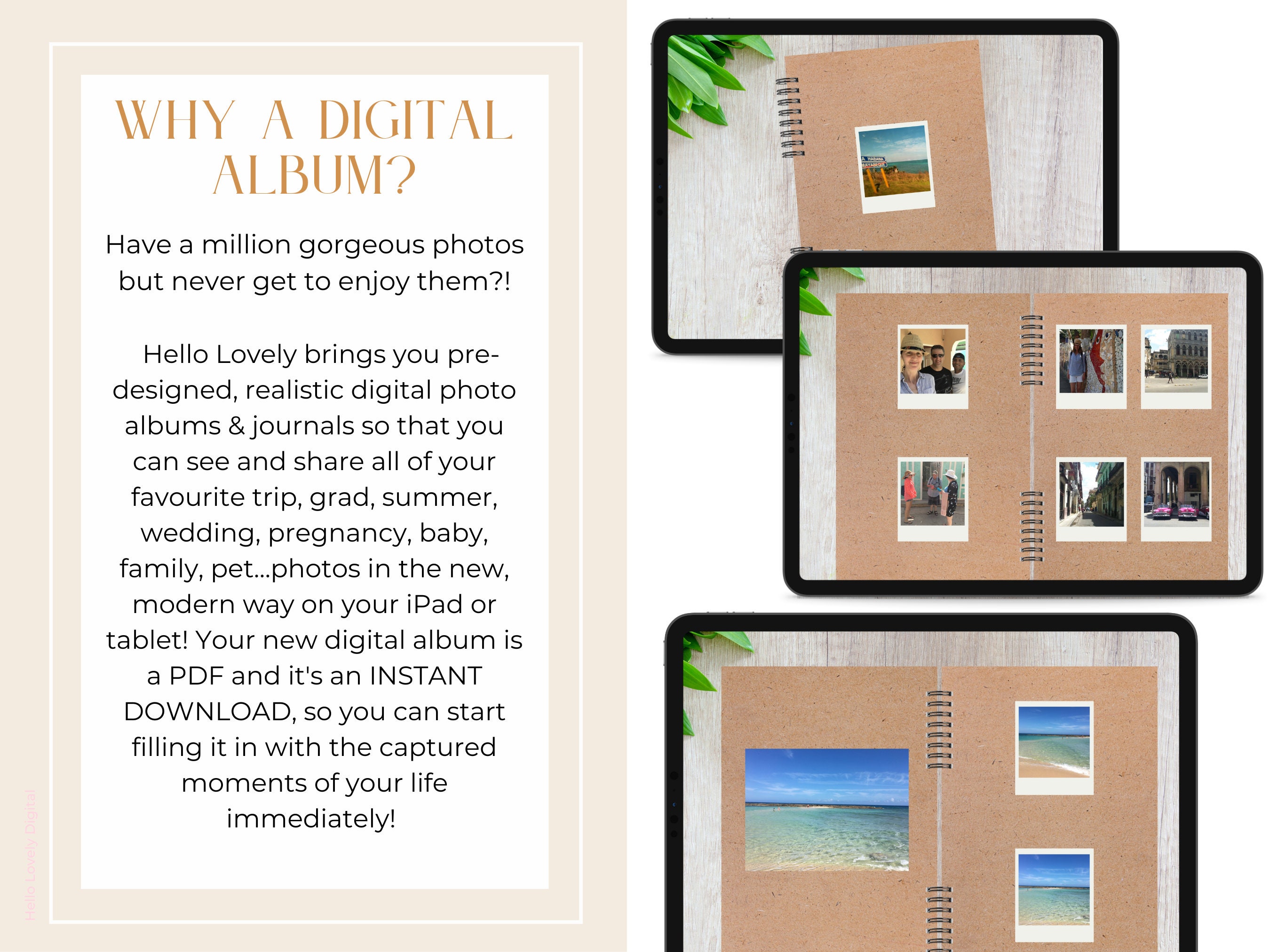 Minimalist Goodnotes Album Digital Photo Albums Scrapbook Etsy