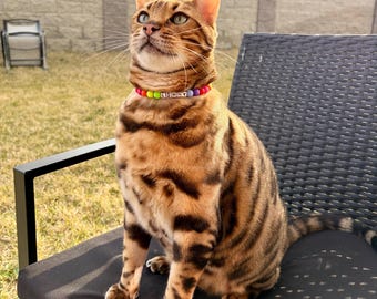 Personalized breakaway  Beaded Cat Collar