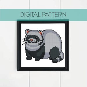 May include: A framed digital cross-stitch pattern featuring a cartoon raccoon. The raccoon is depicted in shades of gray, black, and white, with a pink nose and whiskers. The text "DIGITAL PATTERN" is displayed above the image in a teal banner.