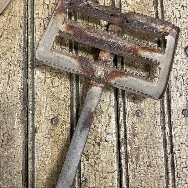 Horse Curry Comb Etsy