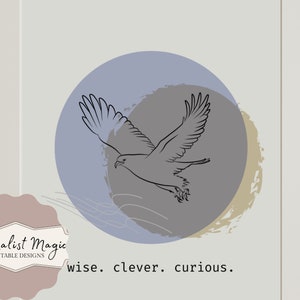 May include: A minimalist line drawing of a bird in flight against a background of overlapping blue and brown circles. The text "wise. clever. curious." is below the image.