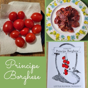 50 Seeds PRINCIPE BORGHESE Tomato | 70 days, (Semi) DETERMINATE , Italian heirloom, sundried, pomodoro, garden favorite, unique vegetable