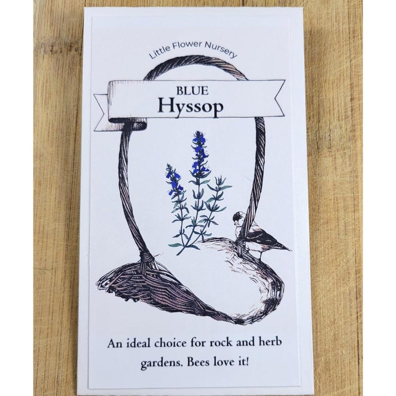 LittleFlowerNursery Hyssop Seeds - Thumbnail 4