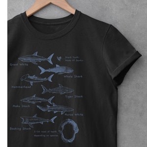 May include: Black t-shirt with a graphic of different shark species, including a Great White, Hammerhead, Whale Shark, Tiger Shark, Mako Shark, Nurse Shark, and Basking Shark. The text "Shark Tooth: Made of Dentin" and "2-50 rows of teeth, depending on species." is also included.