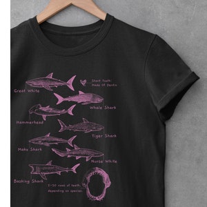 Pode incluir: Camiseta preta com um gr&aacute;fico rosa de diferentes esp&eacute;cies de tubar&otilde;es, incluindo o tubar&atilde;o branco, o tubar&atilde;o martelo, o tubar&atilde;o baleia, o tubar&atilde;o tigre, o tubar&atilde;o mako, o tubar&atilde;o peregrino e o tubar&atilde;o-enfermeira. O gr&aacute;fico tamb&eacute;m inclui o texto "Shark Tooth: Made of Dentin" e "2-50 rows of teeth, depending on species."
