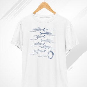 May include: White t-shirt with a graphic of different shark species, including Great White, Whale Shark, Hammerhead, Tiger Shark, Mako Shark, Nurse White, and Basking Shark. The graphic also includes text about shark teeth and the number of rows of teeth depending on the species.