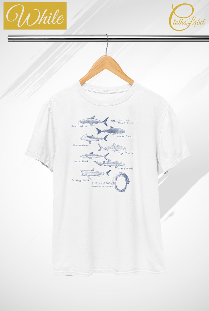 May include: White t-shirt with a graphic of different shark species, including Great White, Whale Shark, Hammerhead, Tiger Shark, Mako Shark, Nurse White, and Basking Shark. The graphic also includes text about shark teeth and the number of rows of teeth depending on the species.